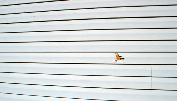 Best Aluminum Siding Installation  in Warner Robins, GA